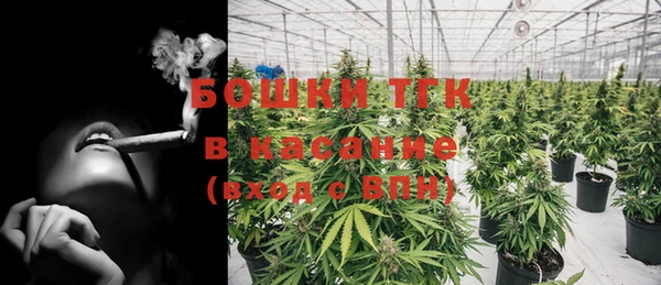 шишки Алексин