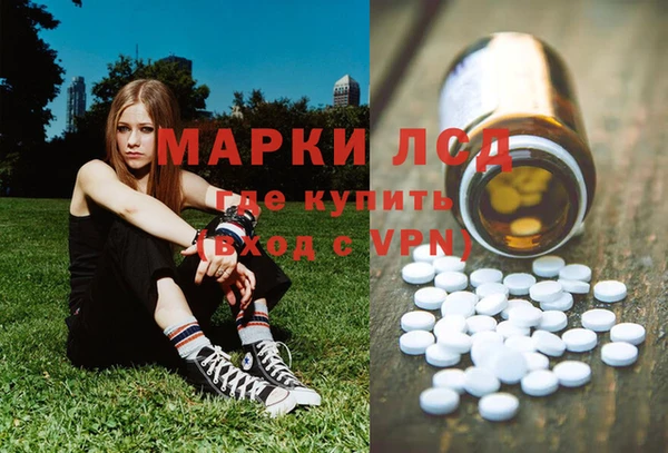шишки Алексин
